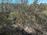 25858 Mulholland - Photo 23
