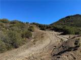 25858 Mulholland - Photo 7