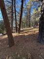 0 Poplar - Photo 11