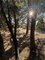 0 Poplar - Photo 3