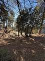 0 Poplar - Photo 8