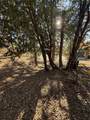 0 Poplar - Photo 9