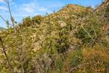 0 Jordan Hill Rd - Photo 9