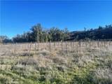 27560 Cornell St - Photo 22