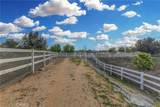 17319 Timberview Drive - Photo 47