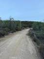 39838 Reed Valley - Photo 15