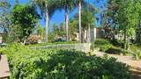 22804 Hilton Head - Photo 6