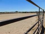 300 Flightline - Photo 39
