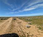 13251 135th Street - Photo 3