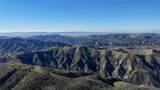 10 Williams Canyon - Photo 14