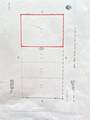 0 Cassia / Richardson - Photo 8