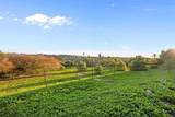 668 Plumosa - Photo 4