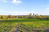 668 Plumosa - Photo 5