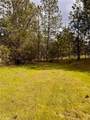 4959 Sierra Pines - Photo 14
