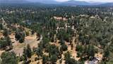 4959 Sierra Pines - Photo 3