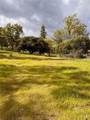 4959 Sierra Pines - Photo 10