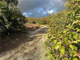 36825 Highway 79 - Photo 4