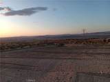 33335 L - Photo 7