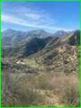 5317 Justamere - Photo 11