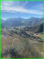 5317 Justamere - Photo 7