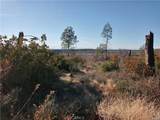 67 Pentz - Photo 13