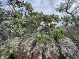 0 Mt. Olympus Valley - Photo 19