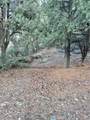15532 San Moritz - Photo 4