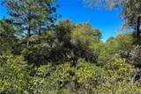 6652 Pappalardo Promenade - Photo 9
