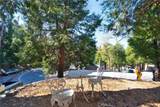 29083 Hook Creek - Photo 42
