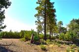 0 Incense Cedar Trl - Photo 20