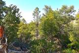 0 Incense Cedar Trl - Photo 4