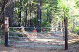 18286 Gaston - Photo 43