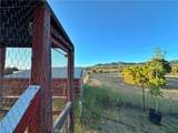 29820 Chihuahua Valley - Photo 40