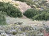 2 Coya Trail - Photo 2