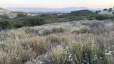 2 Coya Trail - Photo 4