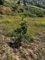 24385 Terreno - Photo 14
