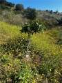 24385 Terreno - Photo 17