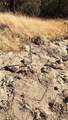 4 Powder Horn - Photo 12