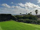 30129 Via Rivera - Photo 50