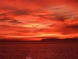 31423 Coast Hwy - Photo 49