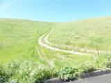 0 Douglas Rd. (Lot 28) - Photo 16