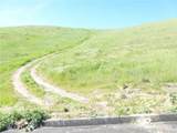0 Douglas Rd. (Lot 28) - Photo 17