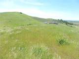 0 Douglas Rd. (Lot 28) - Photo 39