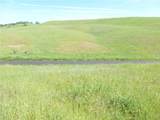0 Douglas Rd. (Lot 34) - Photo 2