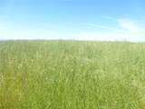 0 Douglas Rd. (Lot 34) - Photo 11