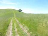0 Douglas Rd. (Lot 34) - Photo 12