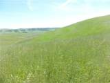 0 Douglas Rd. (Lot 34) - Photo 13
