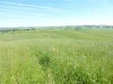 0 Douglas Rd. (Lot 34) - Photo 14