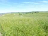 0 Douglas Rd. (Lot 34) - Photo 15