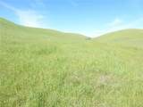 0 Douglas Rd. (Lot 34) - Photo 3